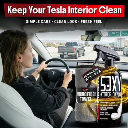 Tesla Interior Cleaner